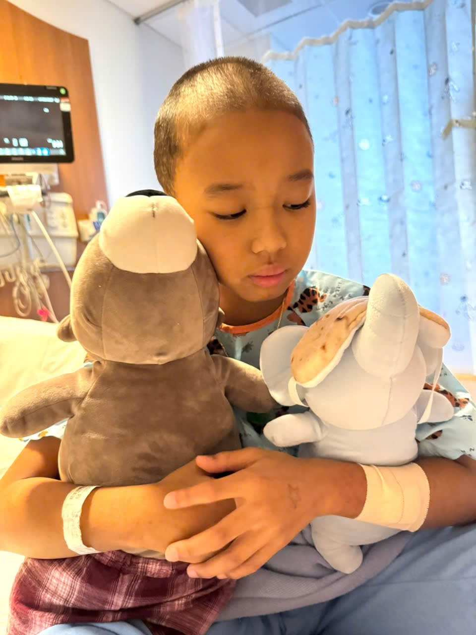 Keegan holding two stuffed animals, looking down, with a bandage on his arm.